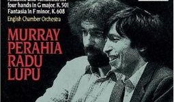 andante在线观看,探索andante在线观看的视听盛宴